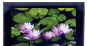 Display OLED gráfico de bajo consumo